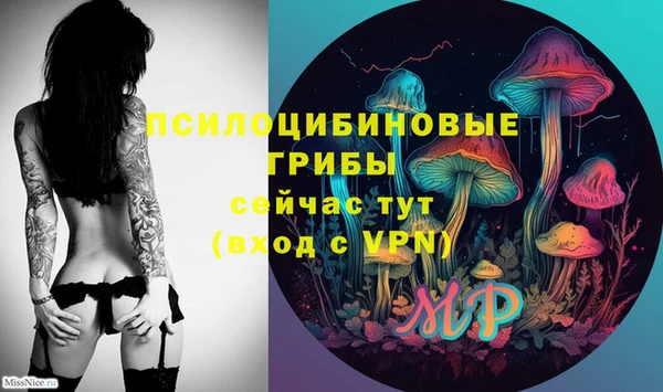 бошки Балахна